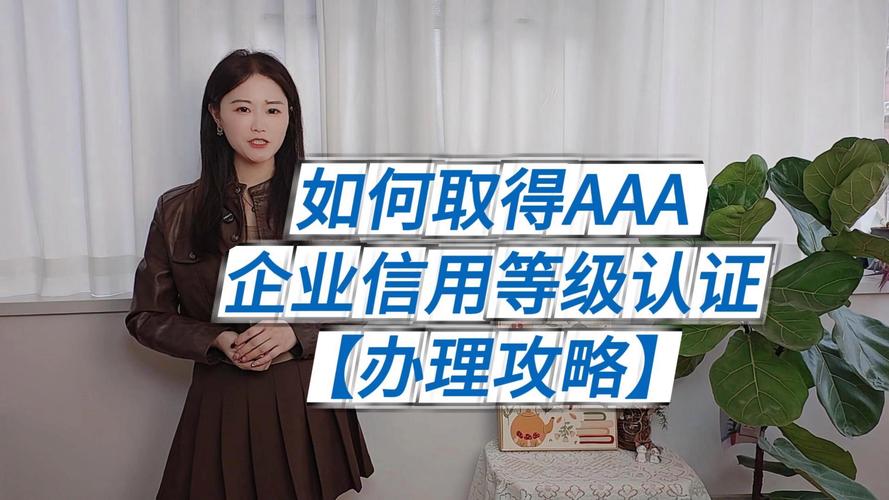 如何取得AAA企業(yè)信用等級(jí)認(rèn)證 詳細(xì)流程步驟與信用評(píng)估解析